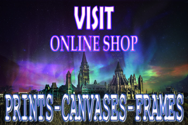 Online Shop